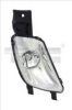 TYC 19-12134-01-2 Fog Light